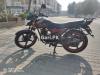 Suzuki GR 150 2019 for Sale in Lahore