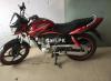 Honda Deluxe 2019 for Sale in Shakargarh