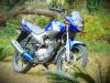 Yamaha YBR 125 2019 for Sale in Rawalpindi