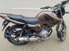 Yamaha YBR 125 2015 for Sale in Lahore