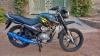 Yamaha YBR 125G 2019 for Sale in Rawalpindi