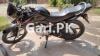 Yamaha YBR 125 2019 for Sale in Lahore