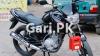 Yamaha YBR 125 2019 for Sale in Wah