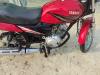 Yamaha YBR 125Z 2018 for Sale in Bannu