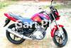 Yamaha YBR 125 2019 for Sale in Chiniot