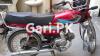 Honda CD 70 2019 for Sale in Lahore