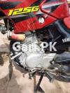 Yamaha YBR 125 2019 for Sale in Lodhran