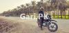 Yamaha YBR 125 2019 for Sale in need to sell urgent