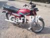 Honda CD 70 2019 for Sale in Islamabad