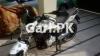 Road Prince Wego 150 2017 for Sale in Lahore