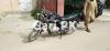 Suzuki GS 150 SE 2020 for Sale in Karachi
