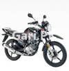 Yamaha YBR 125 2022 for Sale in Islamabad
