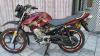 Yamaha YBR 125G 2019 for Sale in Burewala