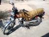  Star US 70  2022