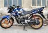 Honda CB 150F 2024 for Sale in Sports & Hobbies