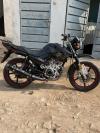 Yamaha YBR 125G 2019 for Sale in Dera Ismail Khan