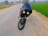 Honda CBR 150R 2010 for Sale in Vehari