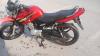 Yamaha YBR 125G 2019 for Sale in Rawalpindi