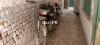 Yamaha Mini 100 Euro II 2013 for Sale