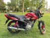 Honda CB 125F  2024
