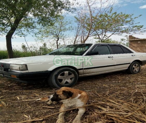 Nissan Sunny EX Saloon 1.6 1988