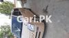 Suzuki Alto E 2008 For Sale in Mardan