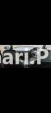 Suzuki Cultus VXRi 2010 For Sale in Karachi