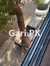 Suzuki Khyber  1998 For Sale in Karachi