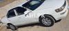 Toyota Corolla SE Limited 1995 For Sale in Quetta