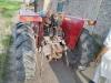 Massey Ferguson MF 260  2012 For Sale in Layyah