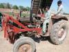 Massey Ferguson MF 260  1972 For Sale in Multan