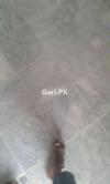 Suzuki Ravi  1981 For Sale in Swabi