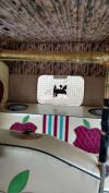 Sazgar Rickshaw  2010 For Sale in Karachi