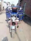 Salaar Rickshaw  2020 For Sale in Lahore