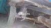 United Loader Rickshaw  2016 For Sale in Faisalabad