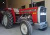 Massey Ferguson MF 240  2019 For Sale in Bhakkar