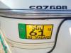 Sazgar Rickshaw  2019 For Sale in Toba Tek singh