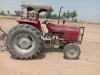 Massey Ferguson MF 375  2010 For Sale in Chichawatni