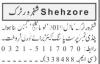 Daehan Shehzore Pickup 2.6 2019