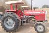 Millat MF  2024 For Sale in Punjab