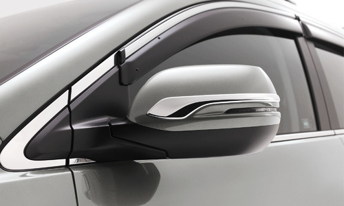 Chrome Garnish