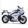 OW S1000RR 300cc