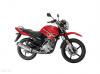 Yamaha YBR 125G 2025