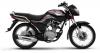 DYL YD 125 Sports 2022