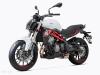 Benelli 302s 2025