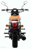 UM Renegade Sport S 300 Orange 2025