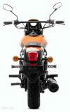 UM Renegade Sport S 300 Orange 2024