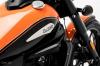 UM Renegade Sport S 300 Orange 2025