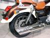 UM Renegade Classic 300 2022