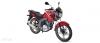 Suzuki GSX 125 2025